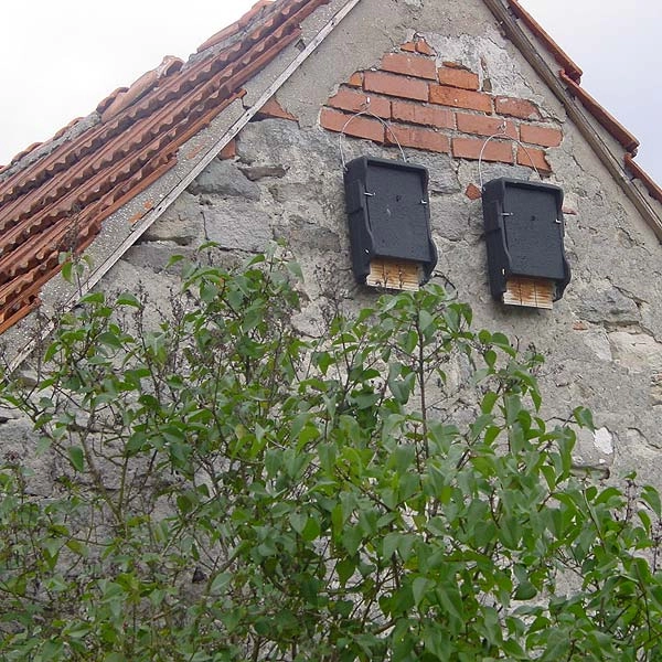 Schwegler 1FF Bat Box 6 Schwegler 1FF Bat Box - Image 4