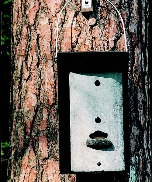 Schwegler 1FS Large Colony Bat Box 3 Schwegler 1FS Large Colony Bat Box