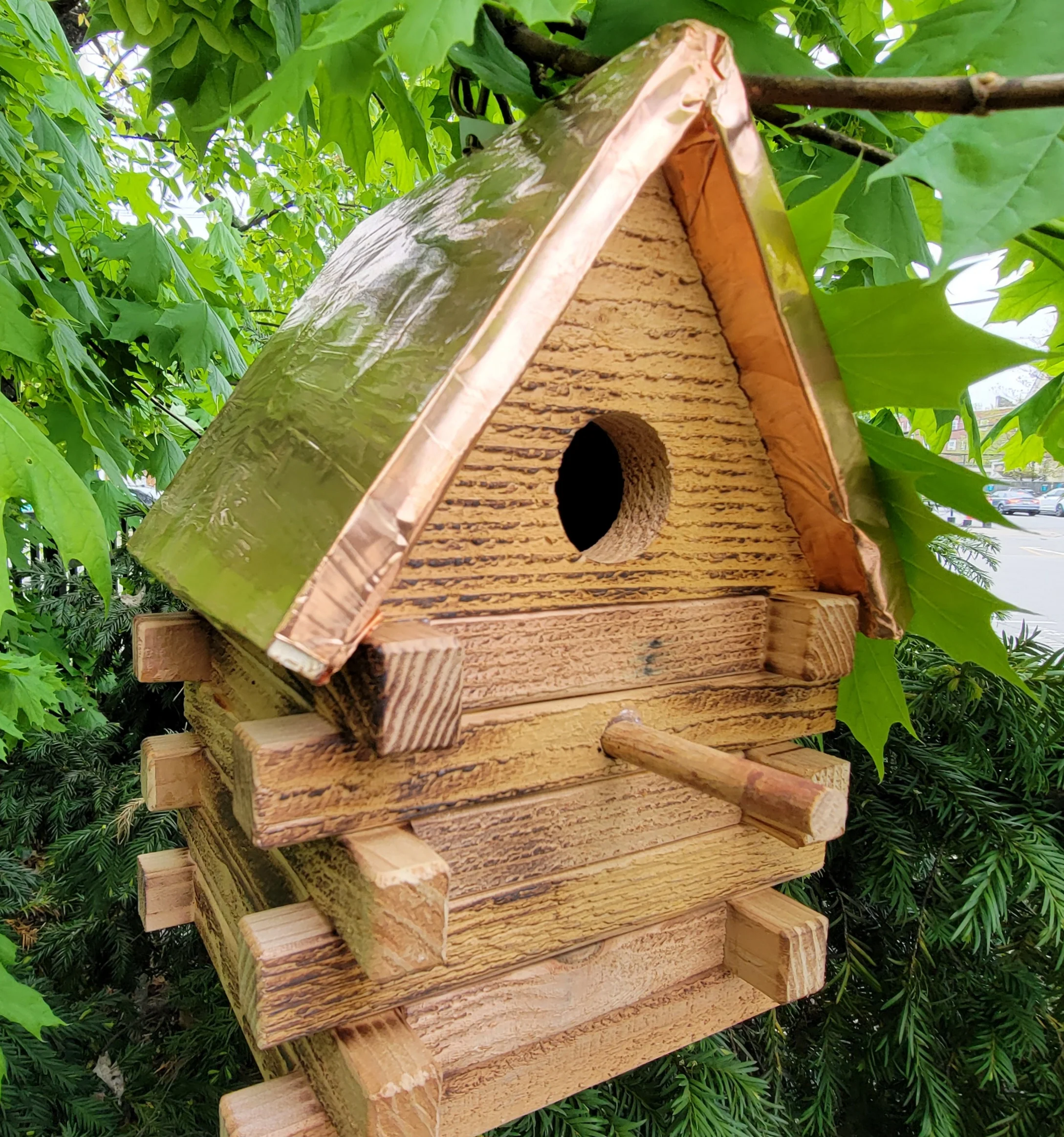 pet supplies sale -pet supplies sale 20230428 152844