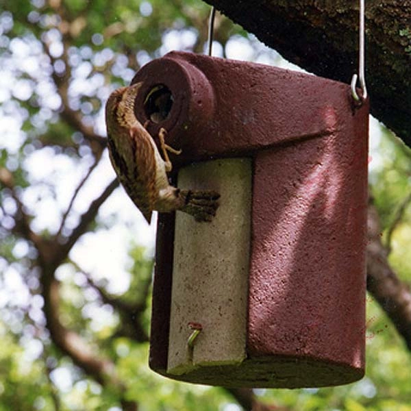Schwegler 3SV Nuthatch Nestbox - 45mm 3 Schwegler 3SV Nuthatch Nestbox - 45mm