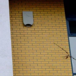 Schwegler 1FQ Bat Roost -pet supplies sale Bat Box 1FQ insitu.jpg