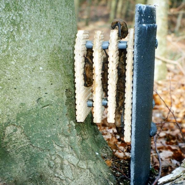 Schwegler 1FW Bat Hibernation Box 5 Schwegler 1FW Bat Hibernation Box - Image 3