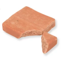 Classic Berry Suet Feast Blocks X10