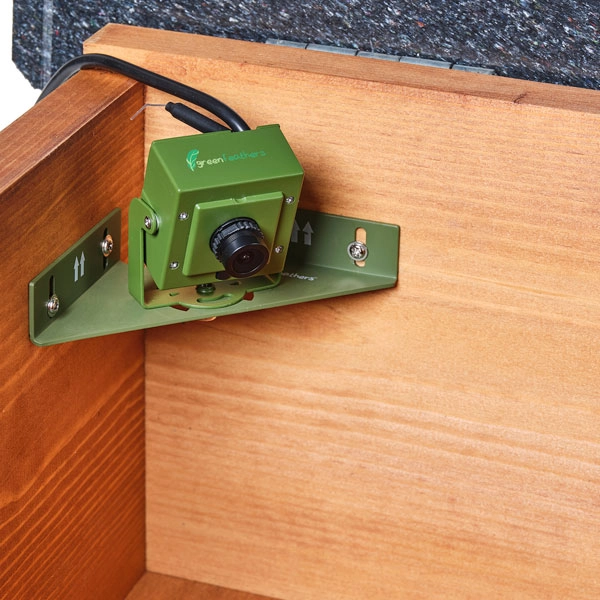 WiFi Hedgehog Feeder HD Camera Pack 6 WiFi Hedgehog Feeder HD Camera Pack - Image 4