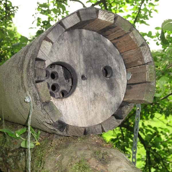 Schwegler No. 20B Little Owl Nest Box With Marten Protection And Forced Ventilation 3 Schwegler No. 20B Little Owl Nest Box With Marten Protection And Forced Ventilation