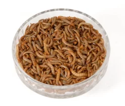 Live Mini Mealworms 1 X 120g Tub