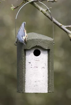 Schwegler 1B 26mm Hole Nestbox Green