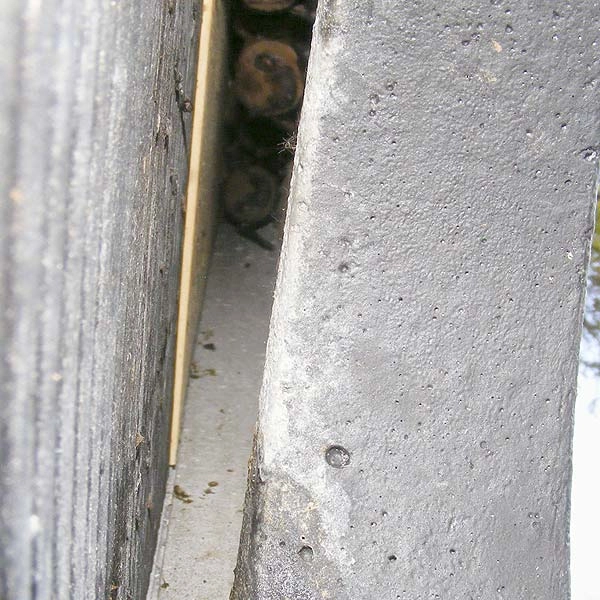 Schwegler 2FTH Universal Bat Summer Roost 4 Schwegler 2FTH Universal Bat Summer Roost - Image 2