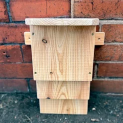 Kent Bat Box -pet supplies sale bbkt5.jpg