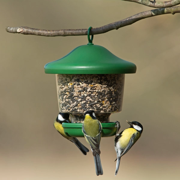 My Favourites Seed Feeder 4 My Favourites Seed Feeder - Image 2