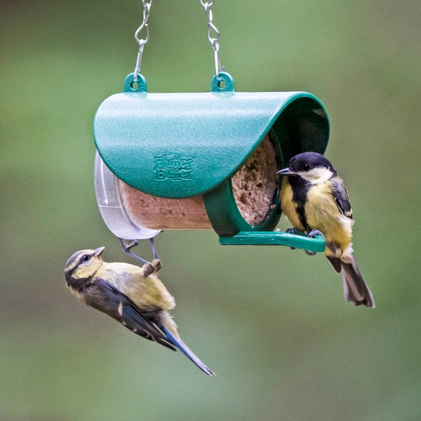 Flutter Butter Pod Refills Mixed X 36 5 Flutter Butter Pod Refills Mixed X 36 - Image 3