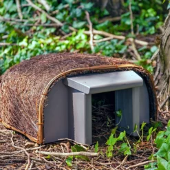 Hedgehog Timeless Haus