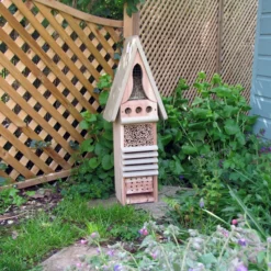 Insect Conservation Centre -pet supplies sale insect study house.jpg