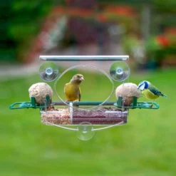 Complete Window Feeder With 2x Fat Ball Holders