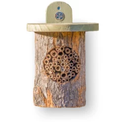 Natural Bee Log