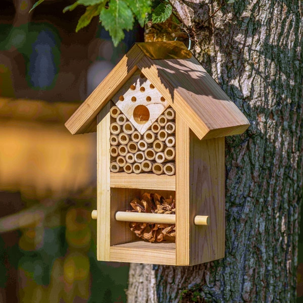 Nooks & Crannies Insect House 6 Nooks & Crannies Insect House - Image 4