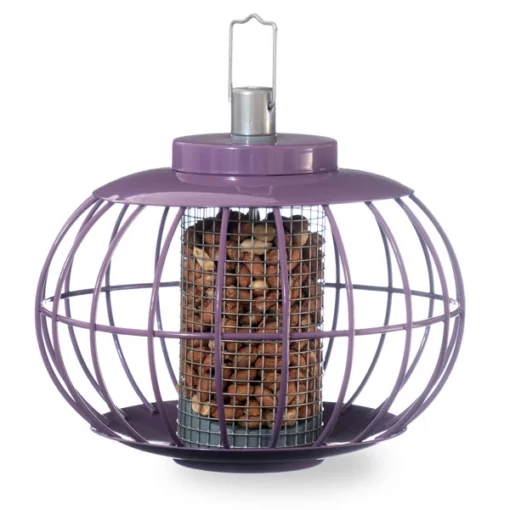Nuttery Lantern Peanut Feeder -pet supplies sale nuttery lantern peanut feeder.jpg