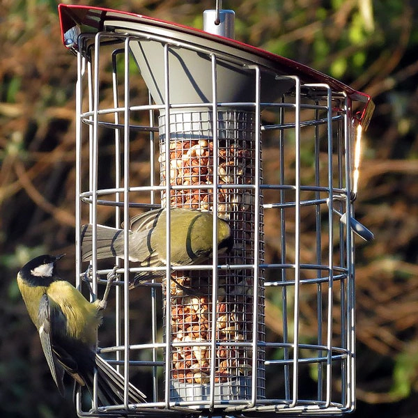 Nuttery Roundhaus Peanut Feeder 4 Nuttery Roundhaus Peanut Feeder - Image 2