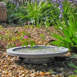 Oasis Bird Bath & Water Drinker