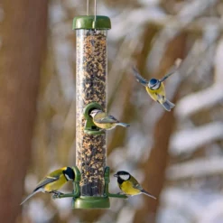 Ring-Pull™ Click Seed Feeder Standard -pet supplies sale ring pull click great tits.jpg