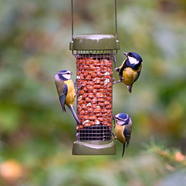 Ring-Pull™ Click Peanut Feeder Standard 4 Ring-Pull™ Click Peanut Feeder Standard - Image 2