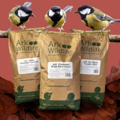Bird Food Seasonal Deal