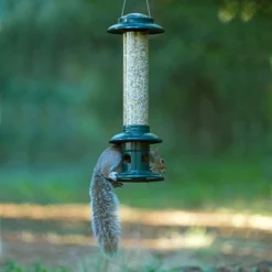 Squirrel Buster Evolution Seed Feeder 7 Squirrel Buster Evolution Seed Feeder -pet supplies sale squirrel buster evolution seed feeder.jpg