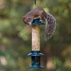 Squirrel Buster Evolution Seed Feeder 8 Squirrel Buster Evolution Seed Feeder -pet supplies sale squirrel buster evolution top.jpg