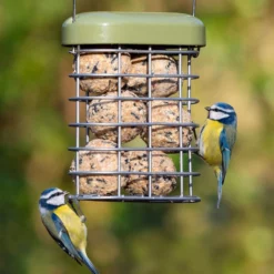 Premium Suet Feast & Fat Ball Feeder Green 9 Premium Suet Feast & Fat Ball Feeder Green -pet supplies sale supf 01 blue.jpg