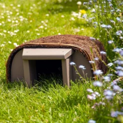 Hedgehog Timeless Haus -pet supplies sale wildlife world hedgehog haus.jpg